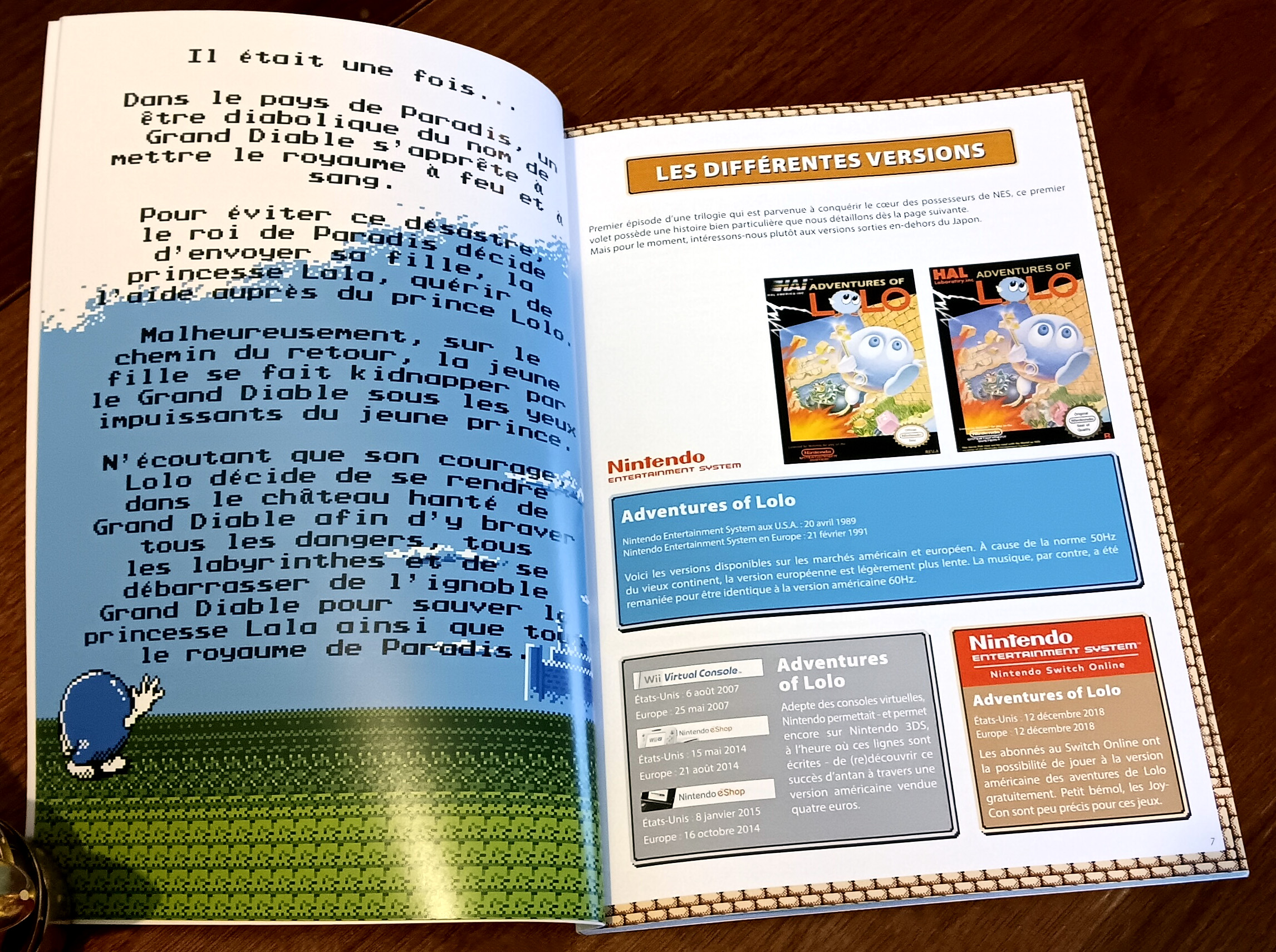 Extrait du Guide Adventure of Lolo