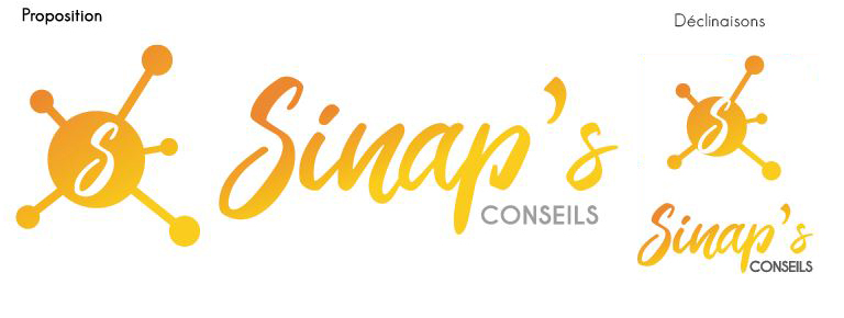 Première proposition pour Sinap's